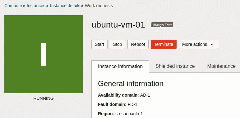 Oracle Cloud Instance Running